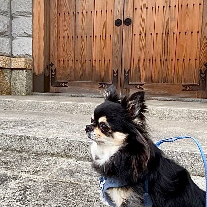 91304846 ddc8 49d9 952e 290fa3b014b7 1656024128940