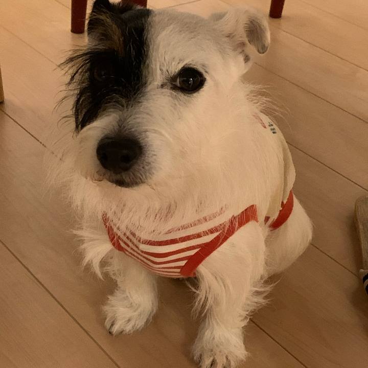 913060cd 5a6d 490e a817 bf4e2483fe61 1571485248434