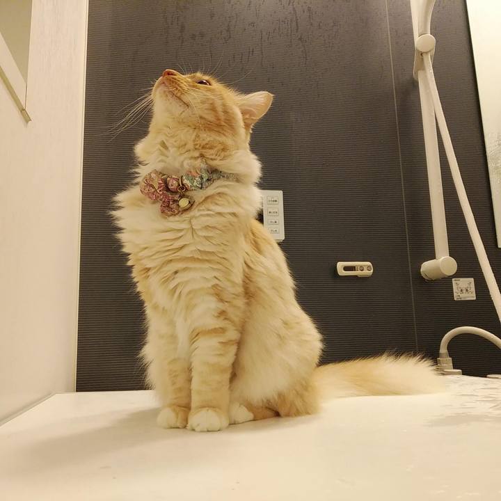 91308a57 2f9e 4e88 8799 dc5722577cab 1669889691932