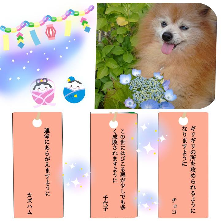 9130ae63 8c4a 4652 aaba f70cf3175981 1657232941515