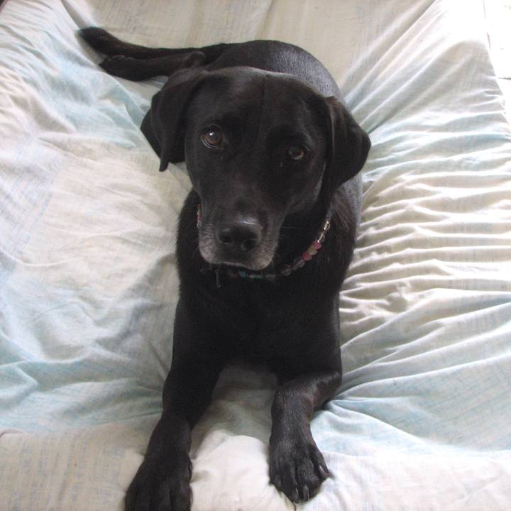 9130cf7e d53d 4ba2 9dd1 3c07614dad94 1517660591972