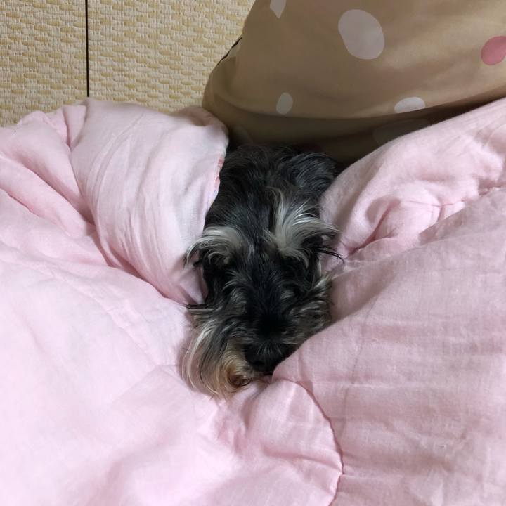 9130e577 be90 472e bfd1 e4078164031f 1621545328476