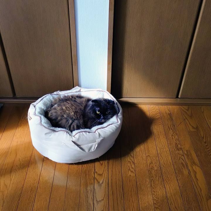 913137d3 20d8 4f79 9b1d 365d98e89929 1762137022928