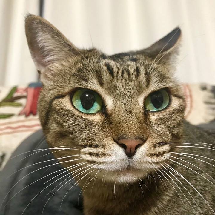 9131ccb6 0a9d 460d 8864 7b903fb4c041 1529149285554