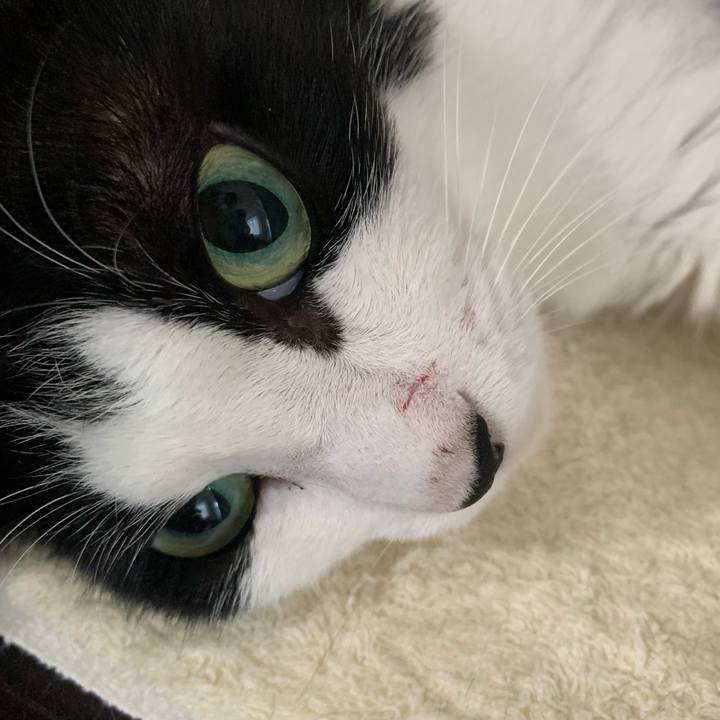 91322b59 57ab 442b a4a0 c6baa06a43e4 1709869864166