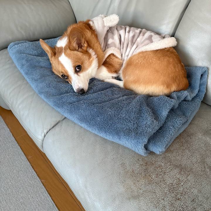 91323c9c 2583 4ba6 900a 68dc72997c6e 1768173649822