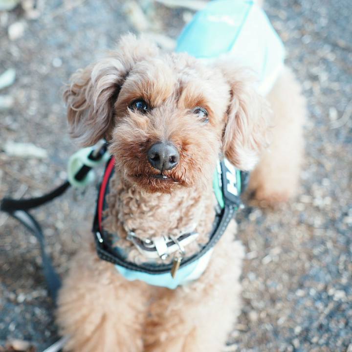 913264a0 902b 4838 bdc0 c8220f37fe59 1519916876212