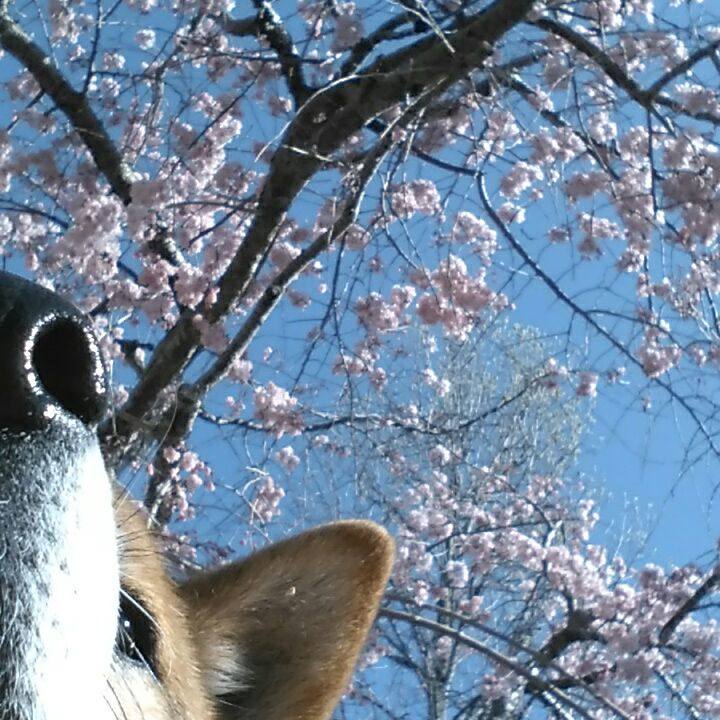 91326d7c b9ae 489e b5d0 cb12c9018ad2 1522369965770