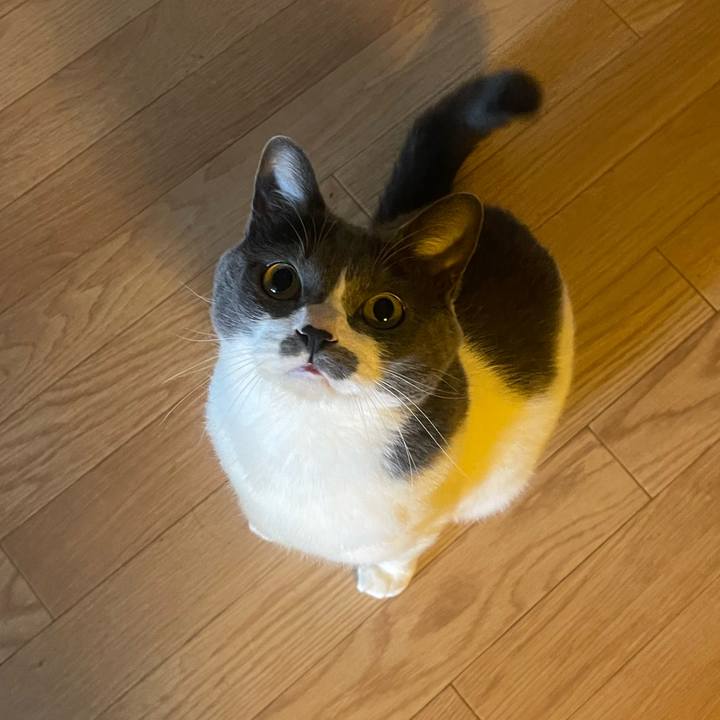 9132731a f5f8 416a b2be da0955e942b7 1741909557431