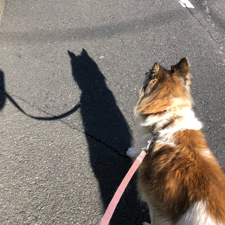 91328753 3f2f 45bc ab6d 3b6442b6cba2 1515209756373