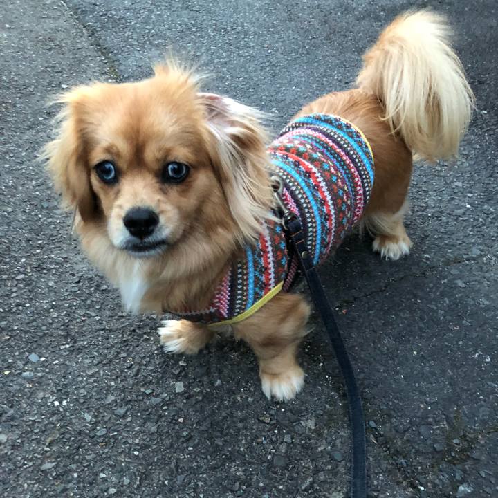 9132aaf1 70b1 4246 a7e8 551723d8d5a7 1519078884556