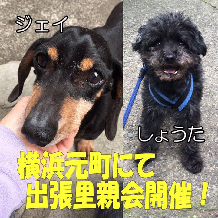 9132bf9d 3ff4 4000 9e30 c9eb343cb267 1558691155035