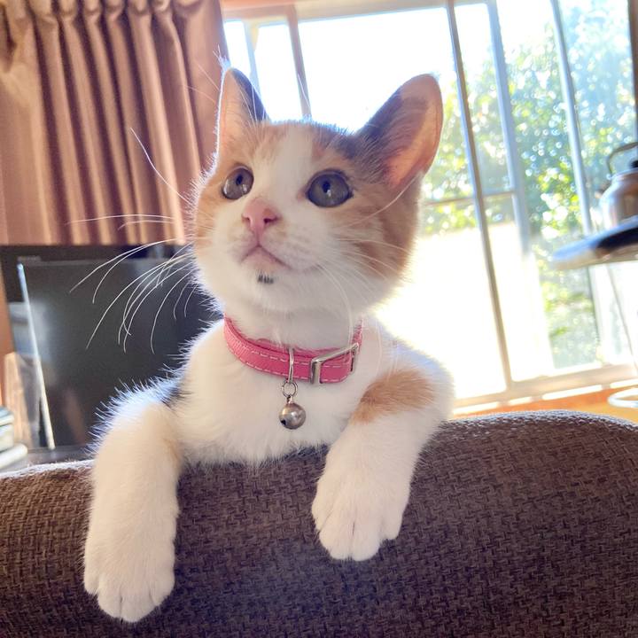 9132c5a6 a32e 472e b147 fdec8ff3d0f8 1632120279630