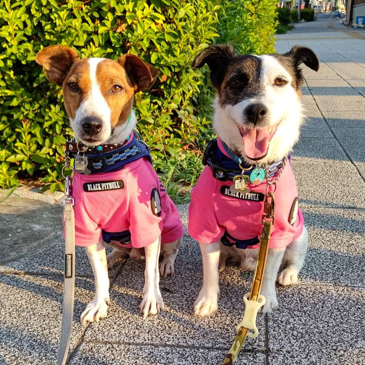 91331d19 e70d 4de8 bf16 521e4385a028 1656622951520