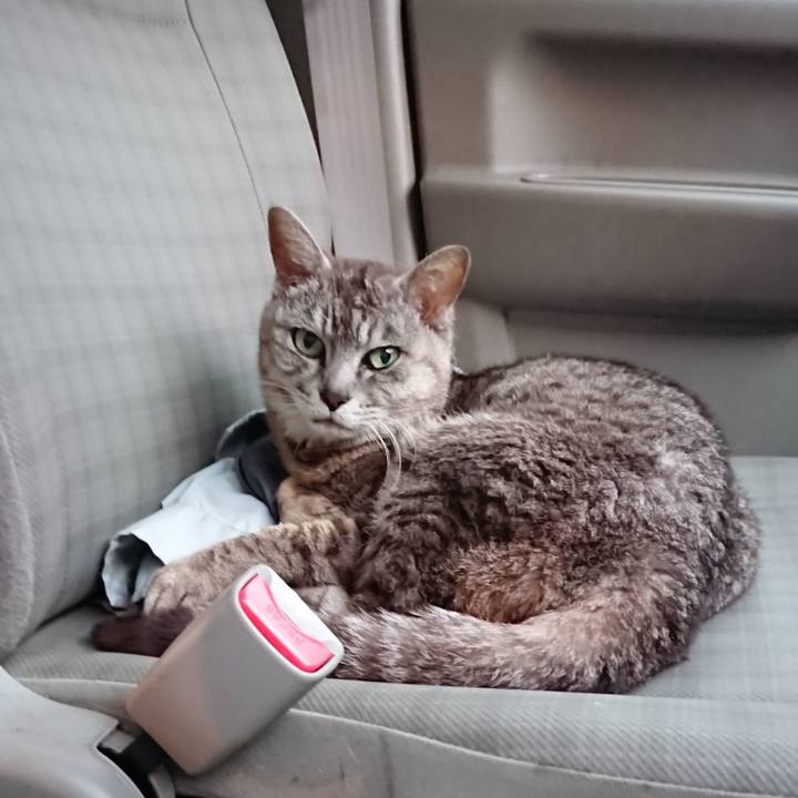 91332222 efbf 4010 b085 327bc0f4e31a 1563962755127