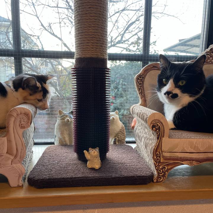 91332a5d 779d 407e bc97 f872728dc79a 1677017045769