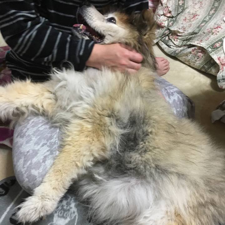 91333257 a852 4c0b bb2c 800acaadcf7a 1552825325282