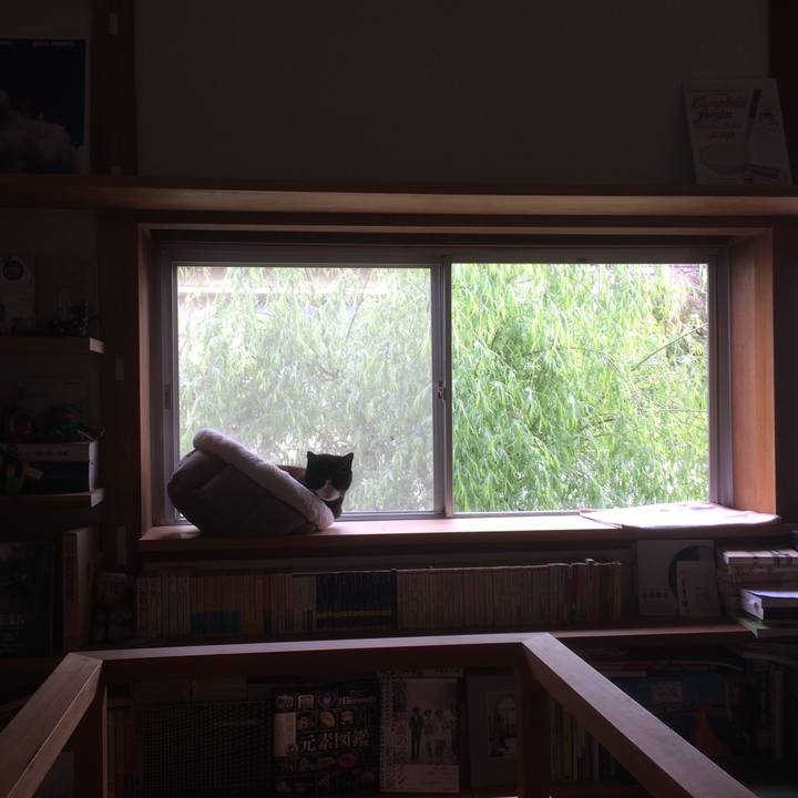 913339fd 9f9b 4f99 81c6 aa7c427d6a4e 1587354790231