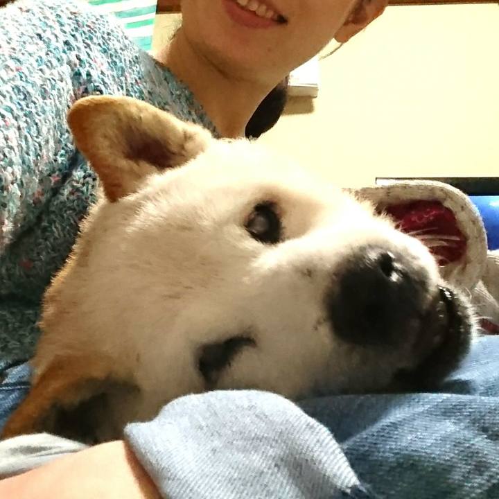 9133518f a802 433f 9921 4784eadb6ac7 1557449355734