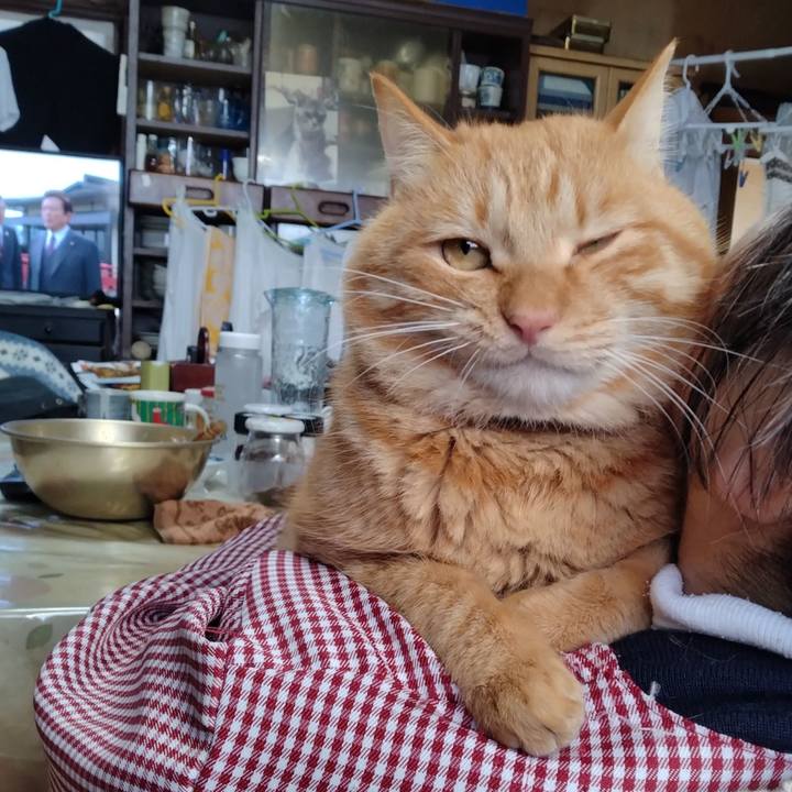 91336b61 dd0a 443a a823 c323bfc48b4f 1671451384408