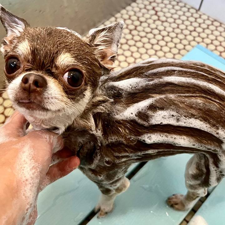 9133a071 ea99 47bd aa80 ab3929447fa5 1672390166572