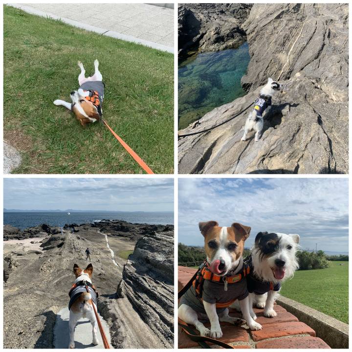 9133b683 5412 408e a0fb edb382ed20f1 1601957999276