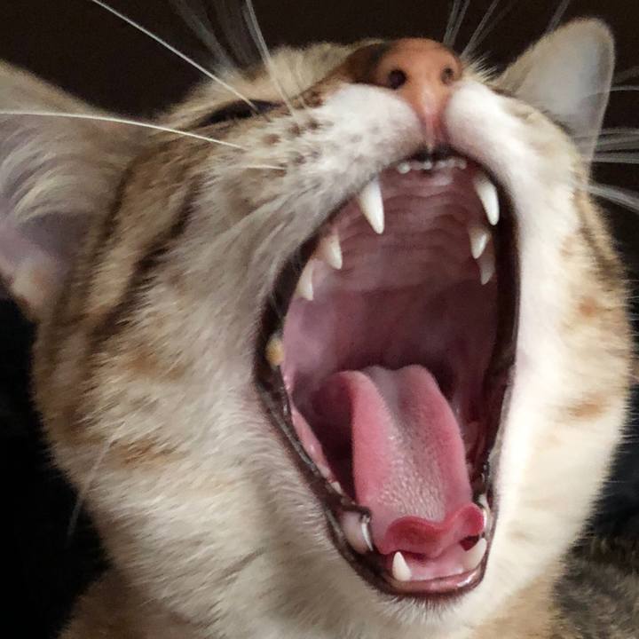 91345b1e 9931 49d9 b501 ba2aa50d4501 1583822076909