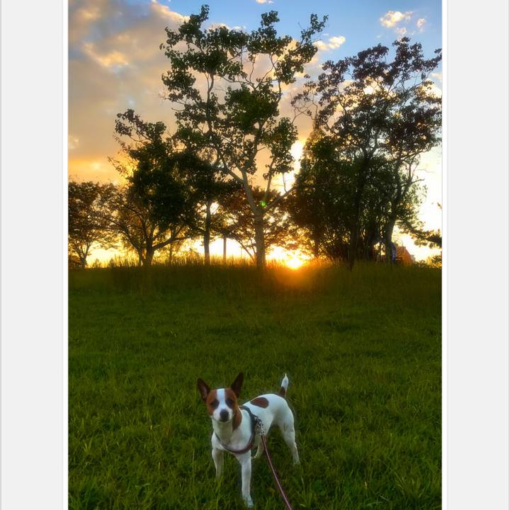 91349a91 3d5a 41ae a16d 9ef0e7b282c2 1508924938055