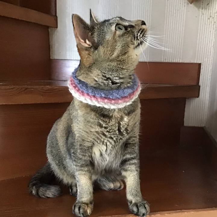 9134af9d 1682 43ef 9da3 b9e58aef7fb7 1625292696653