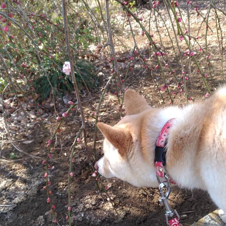 91351543 2ecb 4502 aaa8 22ccb5695948 1519045746050