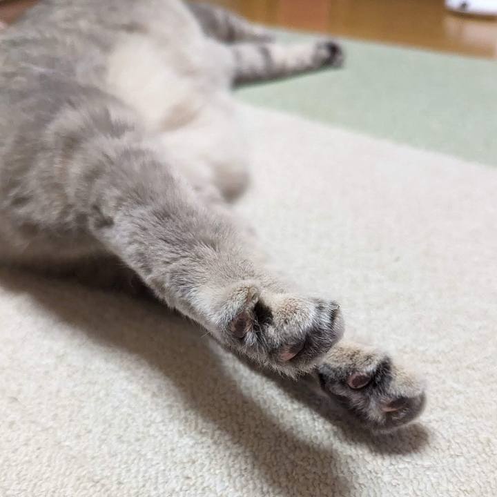 9135256e 429e 4abe acae 882732cad0c6 1695699507458