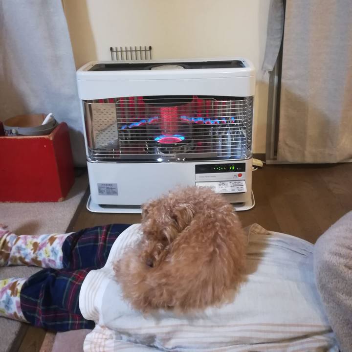 91354419 7c71 4f6f 941d f73dcab7ca07 1550575070589