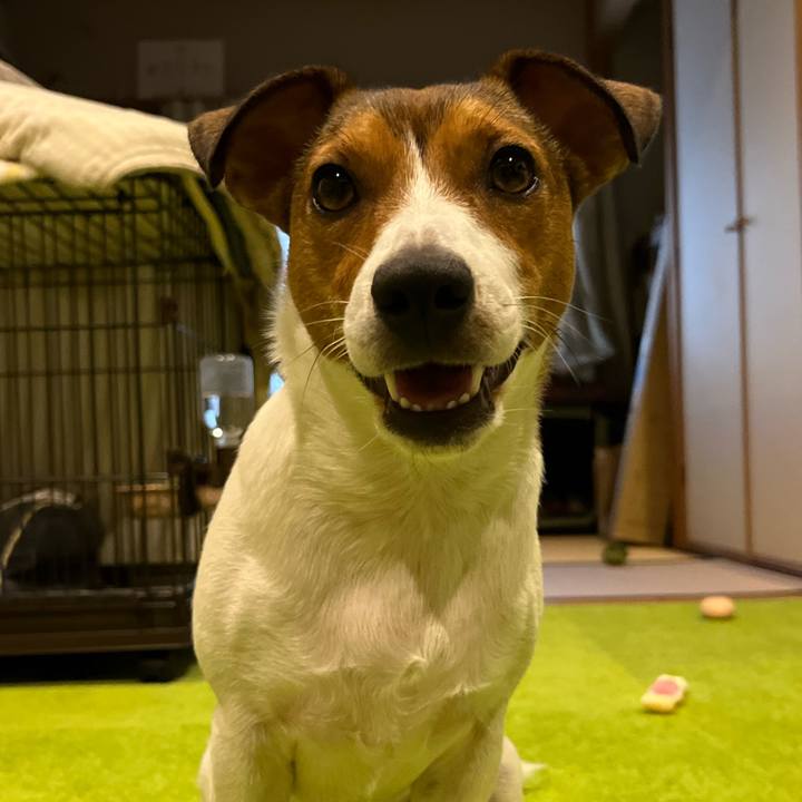 91355a6a 81ee 4bc1 bbfa f88ff478f4f2 1722987880651