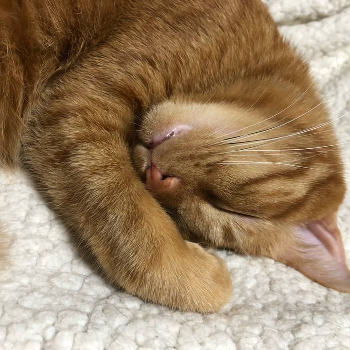 91356872 6586 4013 8d77 f89da0f05d8f 1547045766950