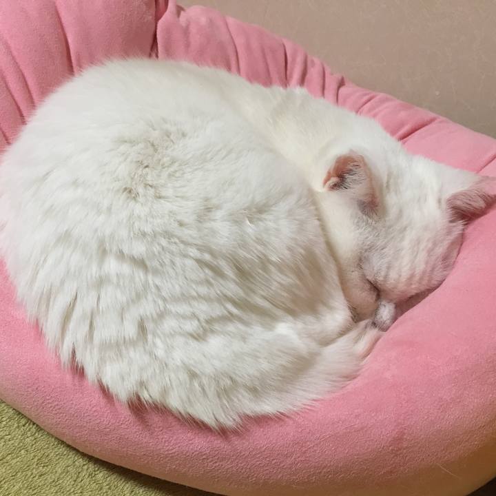 9135766a 9e8b 46dd bdb0 a29e907f041d 1512141174253