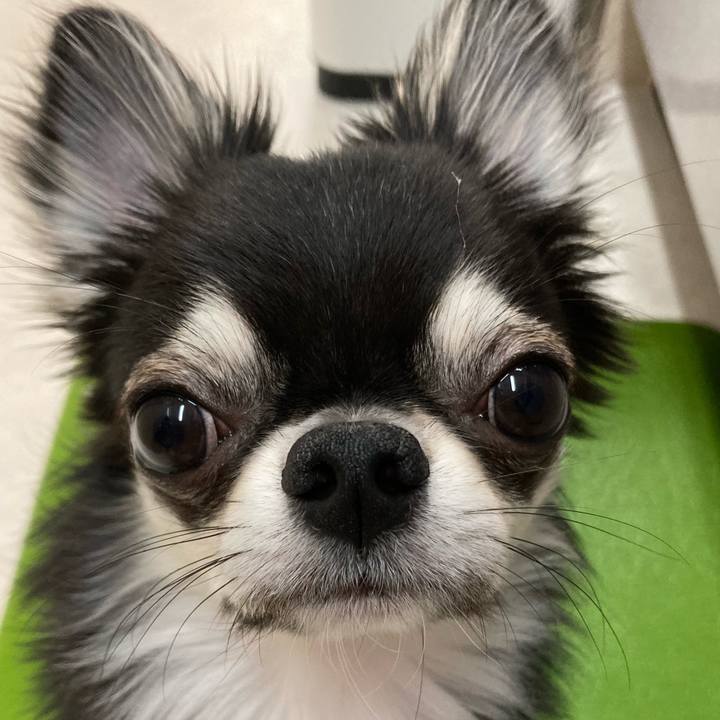 9135956d f9af 47f0 a9e3 c3b1e9b74223 1623452416453