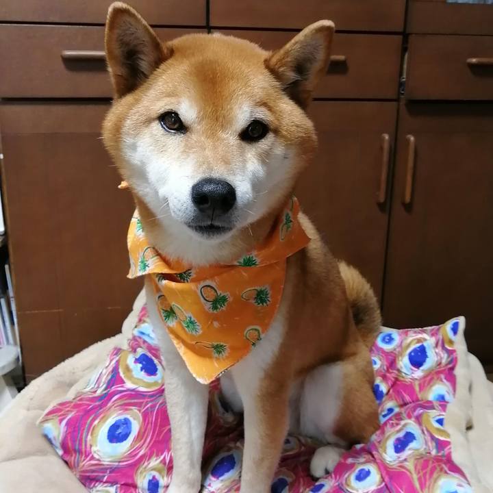 9135b552 8b11 41d5 b3bc 95ea64cfe48d 1648277624451