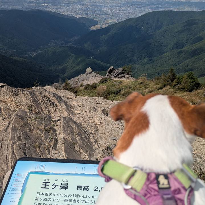 9135e26c 08a2 4d00 bf86 9c0b1a0a175c 1758259240771