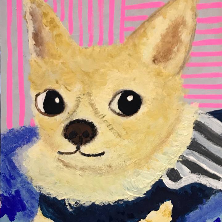 9135e710 58d5 4114 83dc 1c0a11a18229 1547384519655