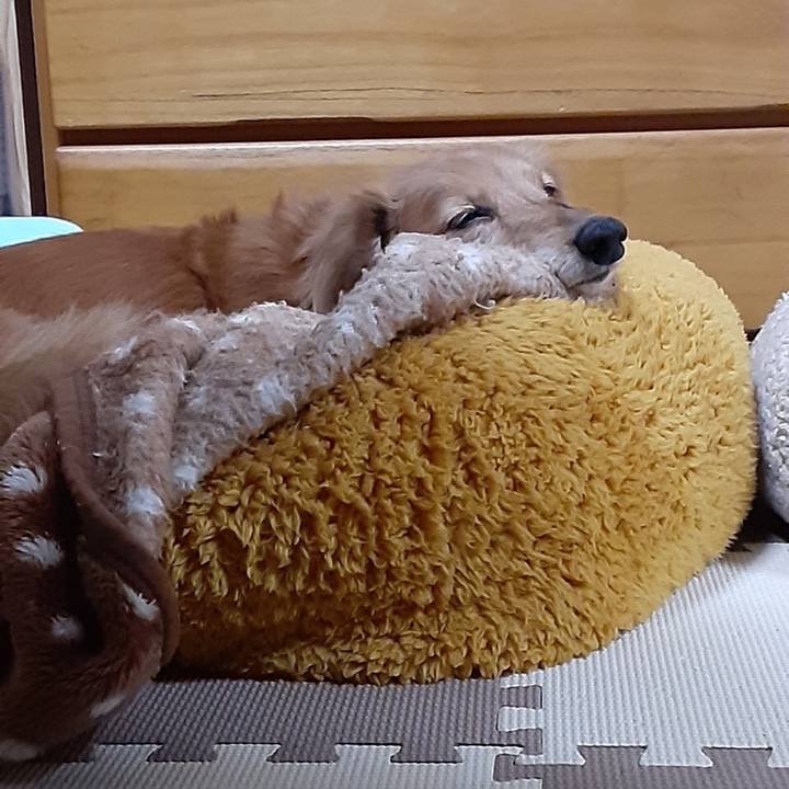 9135f4e4 9673 4816 aac0 c668bf69c987 1613392666735