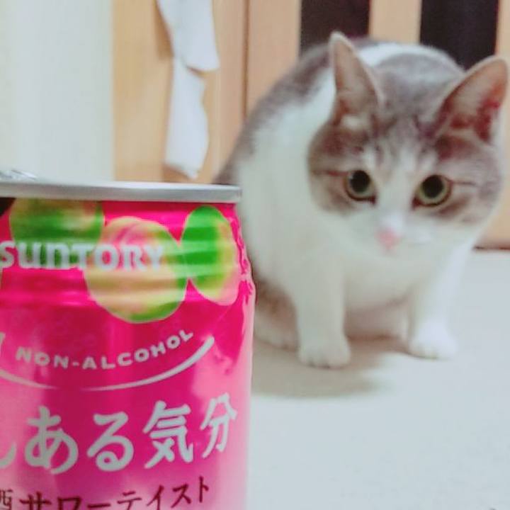 91362941 0c51 4870 a6eb 4ba047d61c62 1535072498188