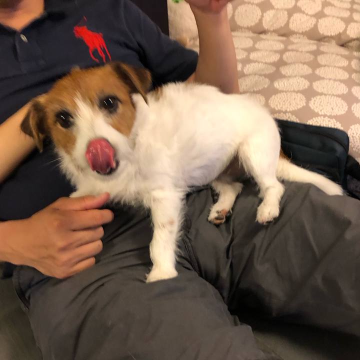 9136361d 4331 4521 9f8e c0400348623a 1595541896075