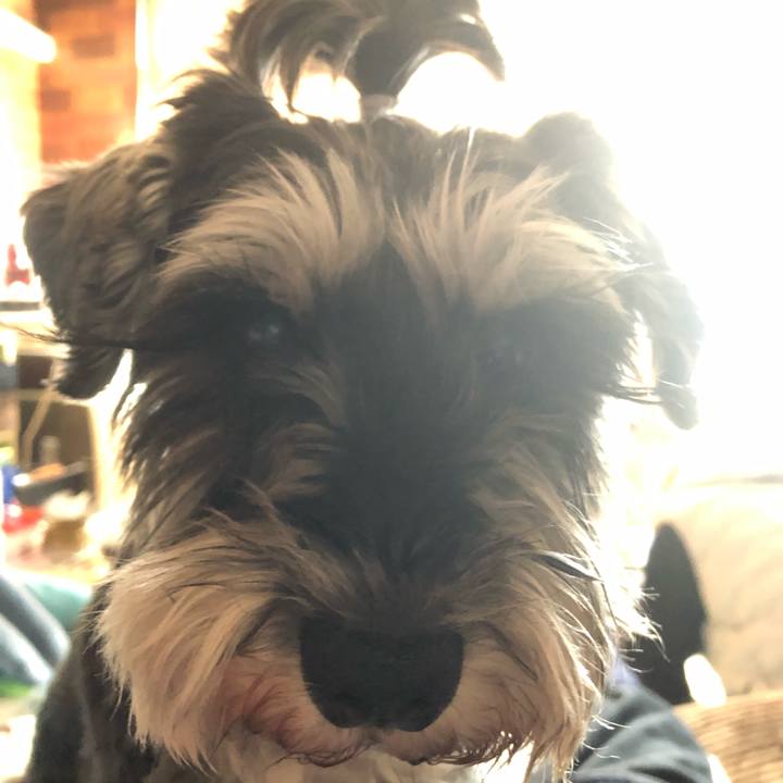 91364ad8 0539 4c7a bd67 bedd552520bf 1645944938903