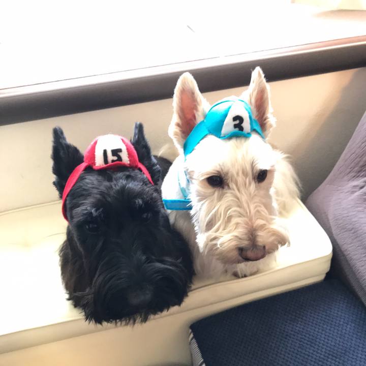 913655a0 ab81 495f 9be8 440d7ba04bb8 1520823673755