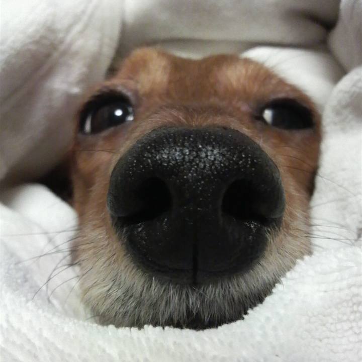 91366b31 26f9 4e3c 8f15 013342179d74 1535305227751