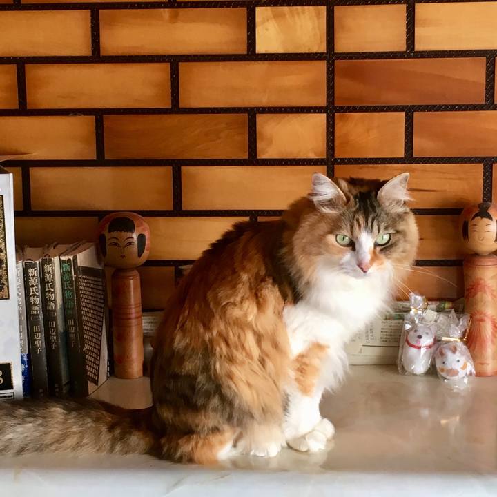 91367054 31a0 4be4 9c99 c9ff2c158b4e 1555192357067