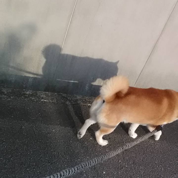 91367486 d98a 4744 bb07 166902b0431a 1699325019942