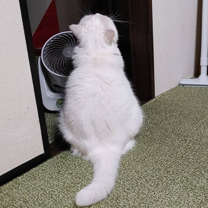 91367f78 822d 421d 952d bf2578118021 1633770634522