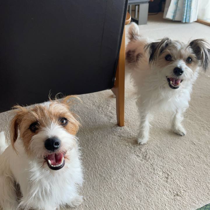 91368094 40c3 44a1 8b28 761aea99e20d 1767576939929