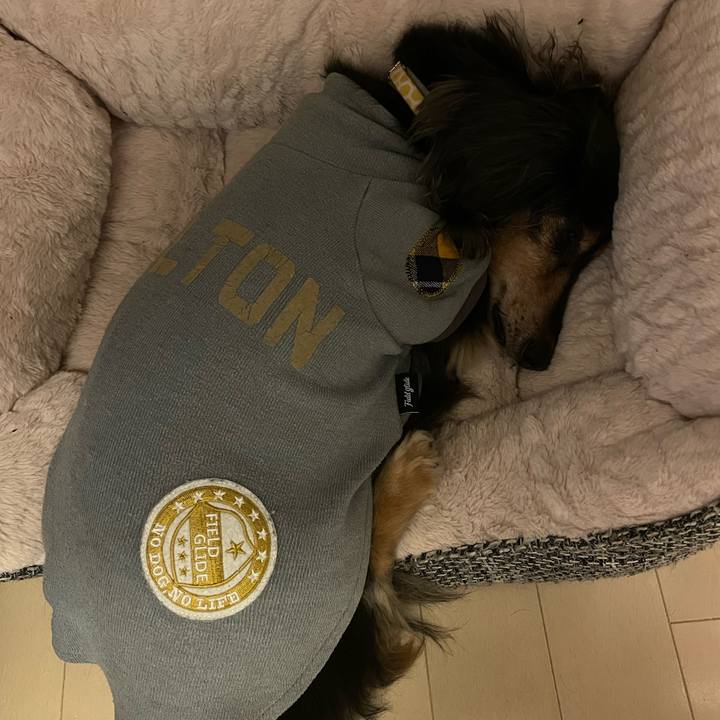 9136c543 4321 4dcc 81f2 837f336c5b96 1645065221477